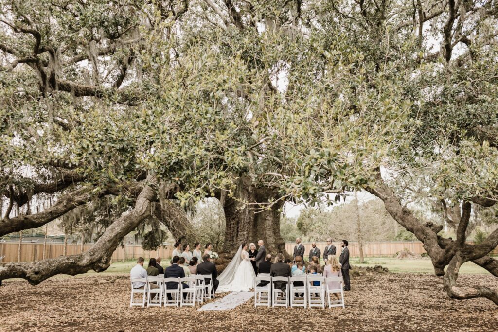 Wedding ceremony under the Tree of Life in New Orleans