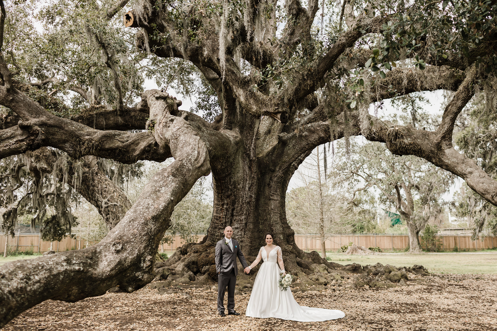 Newlyweds hold hands under the Tree of Life New Orleans