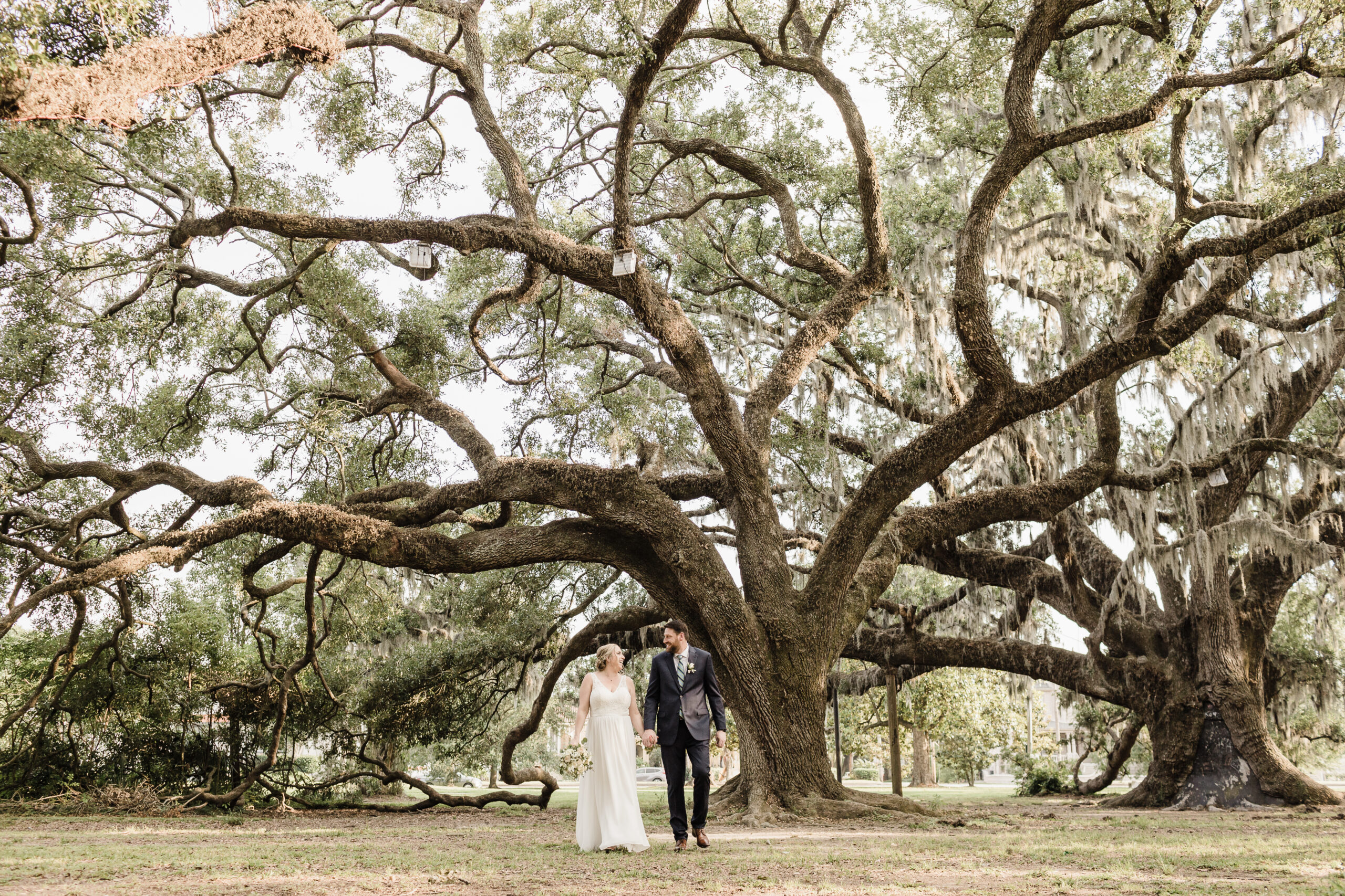 Newlyweds walk under a giant oak tree in City Park following their elopement