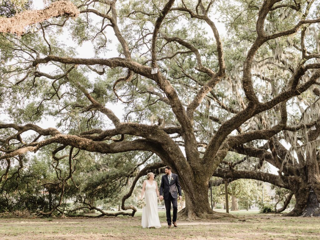 newlyweds walk under oak trees in city park